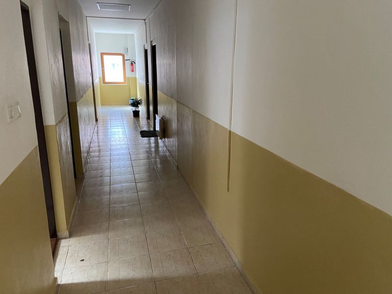 Chodba v kancelářích s dlažbou a pokojovou rostlinou u okna.