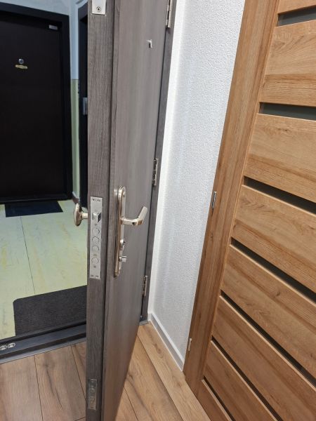 Vstupní dveře s kováním v 1-pokojovém bytě, podlaha s dřevěným dekorem.