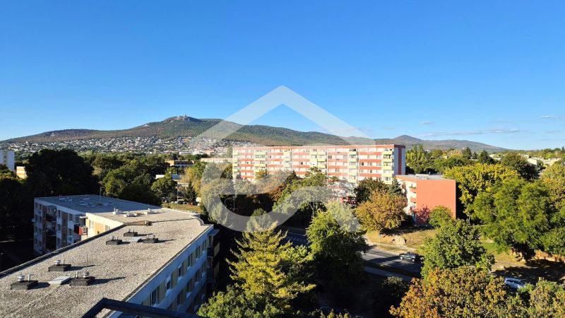 Pohled z výšky na sídliště, zeleň a hory v Nitře - Chrenová na Dlouhé.