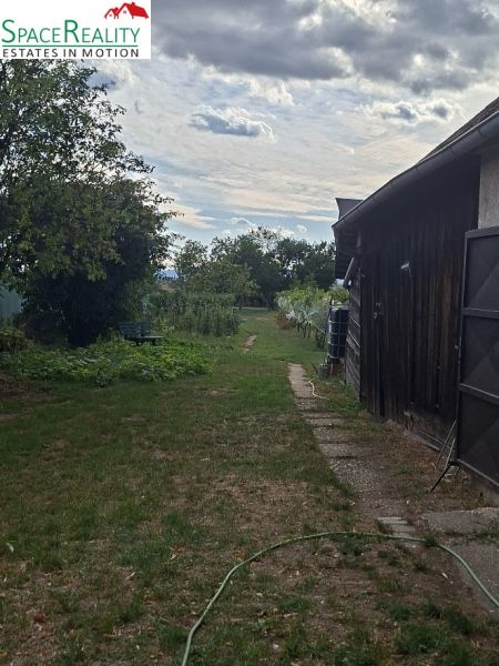 Zahrada s trávníkem a chodníkem na Hlavní ulici ve Viničném, Pozemky - bydlení.