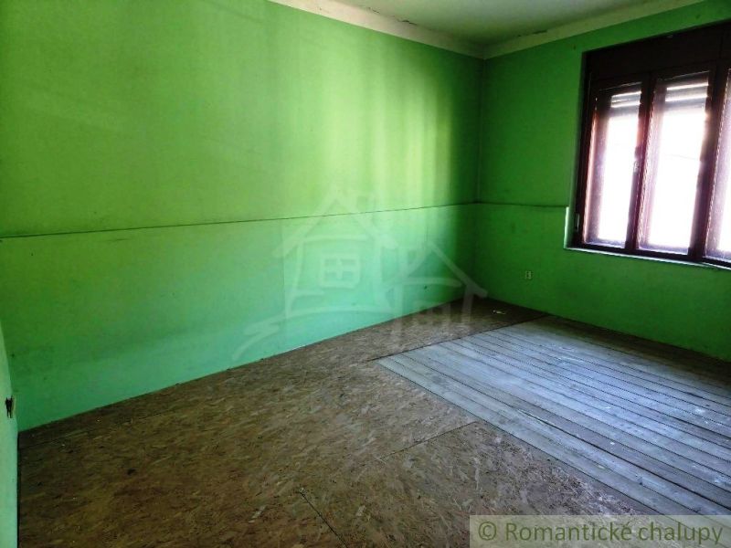 Zelené stěny a podlaha s dřevěným dekorem v obchodních prostorách.