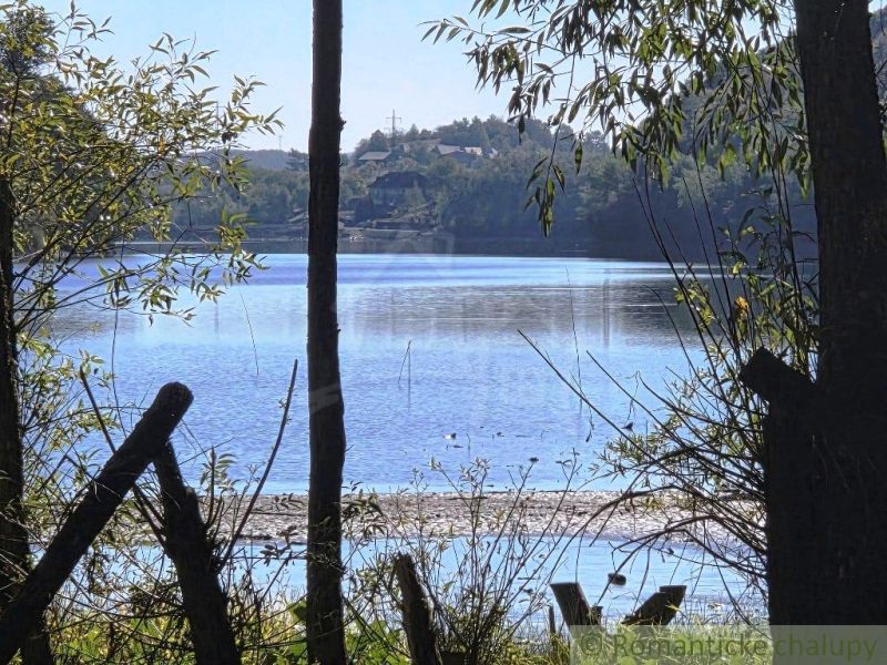 Výhled na jezero mezi stromy v Zahradách v Krupině.